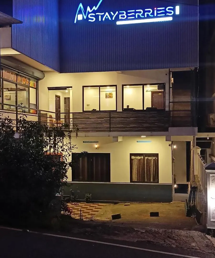 Hotel Silver Munnar